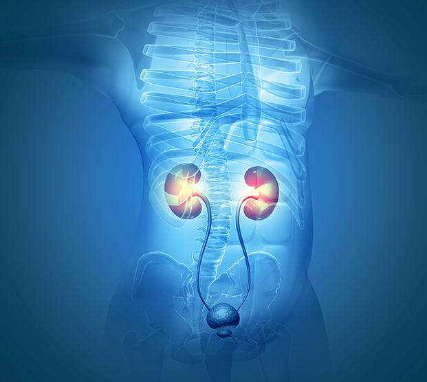 Illustration of urinary system with voiding dysfunction